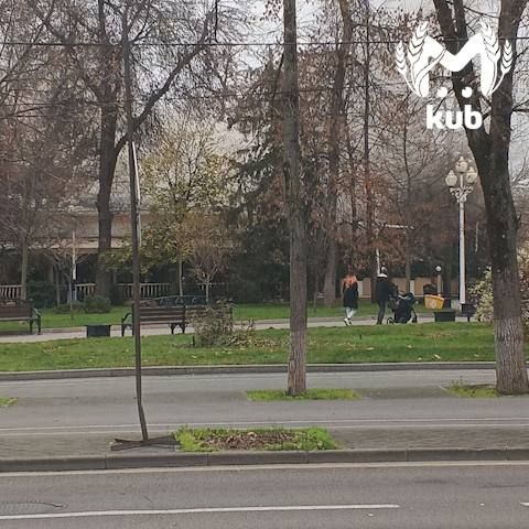 Ресторан Bellini загорелся в сквере Жукова