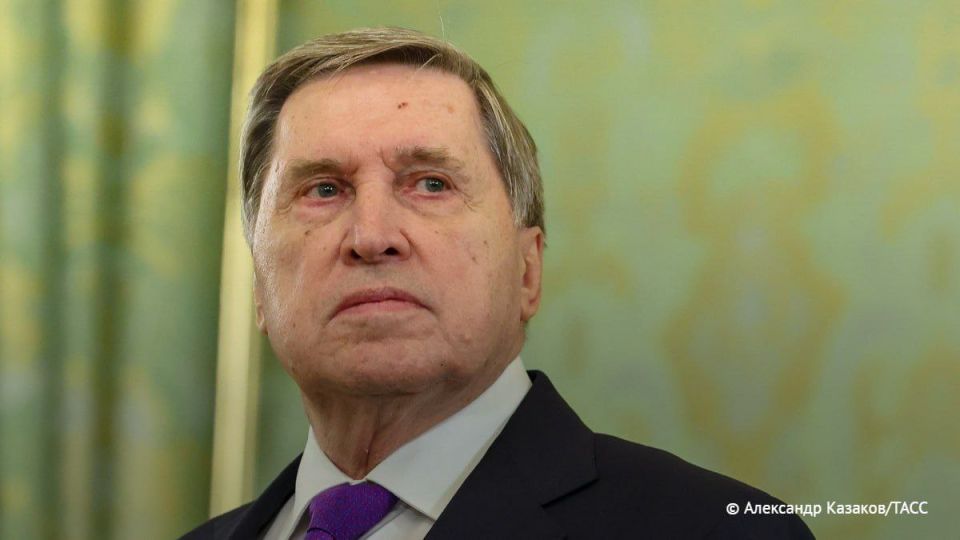 Беседа Путина с Уиткоффом была конструктивной, весьма полезной и содержательной, заявил Ушаков