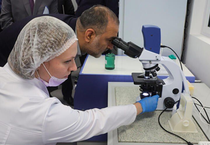 Исследователи из Тихоокеанского института биоорганической химии имени Г.Б. Елякова (ТИБОХ ДВО РАН) сделали важное открытие, которое может стать прорывом в лечении рака крови