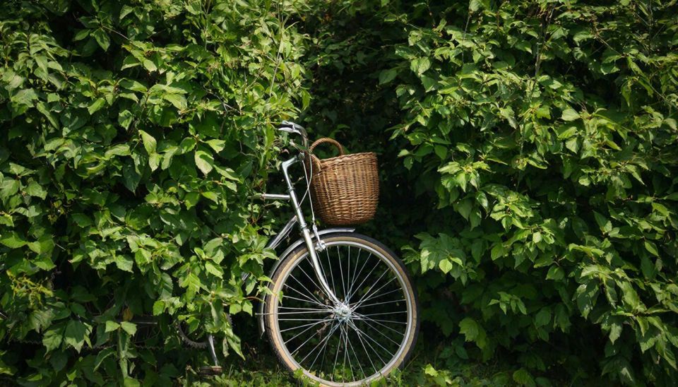 ����� �� �������� ��������� ���������� ��� ������ ������������ ������