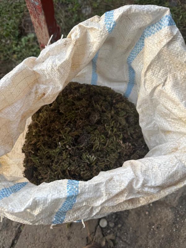 Мешок с марихуаной изъяли в Гулькевичском районе