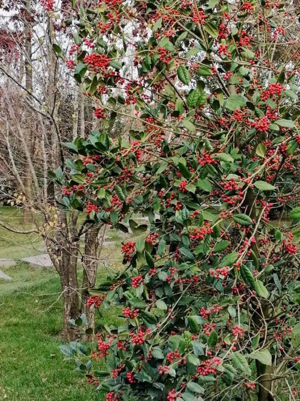 Доброе утро, любимый Ейск!