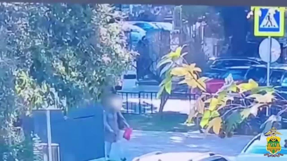 Приключения желтого розового чемоданчика