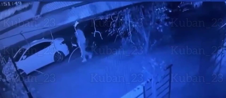 В Краснодаре полиция задержала молодого человека, который испортил шины и крыши десяти автомобилей