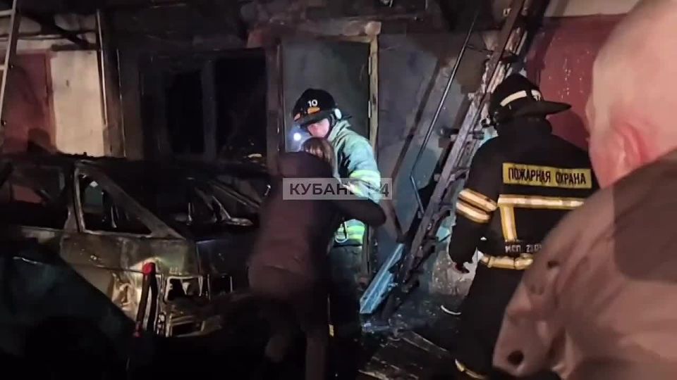 Усы в саже, взгляд напуганный: пушистого погорельца спасли в Туапсе