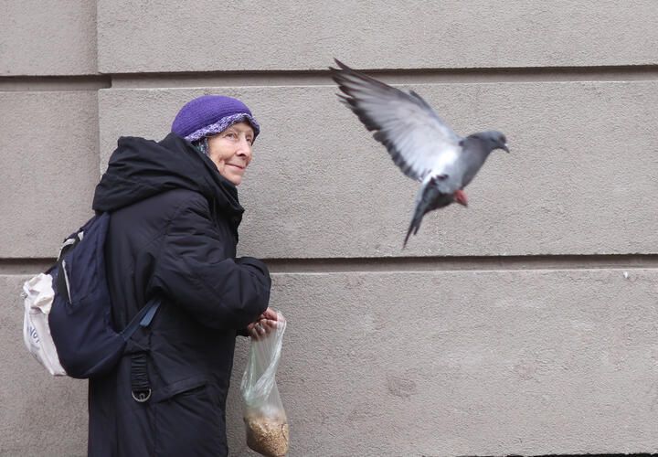 В Госдуме предлагают поднять минимальную пенсию до 50 тысяч рублей