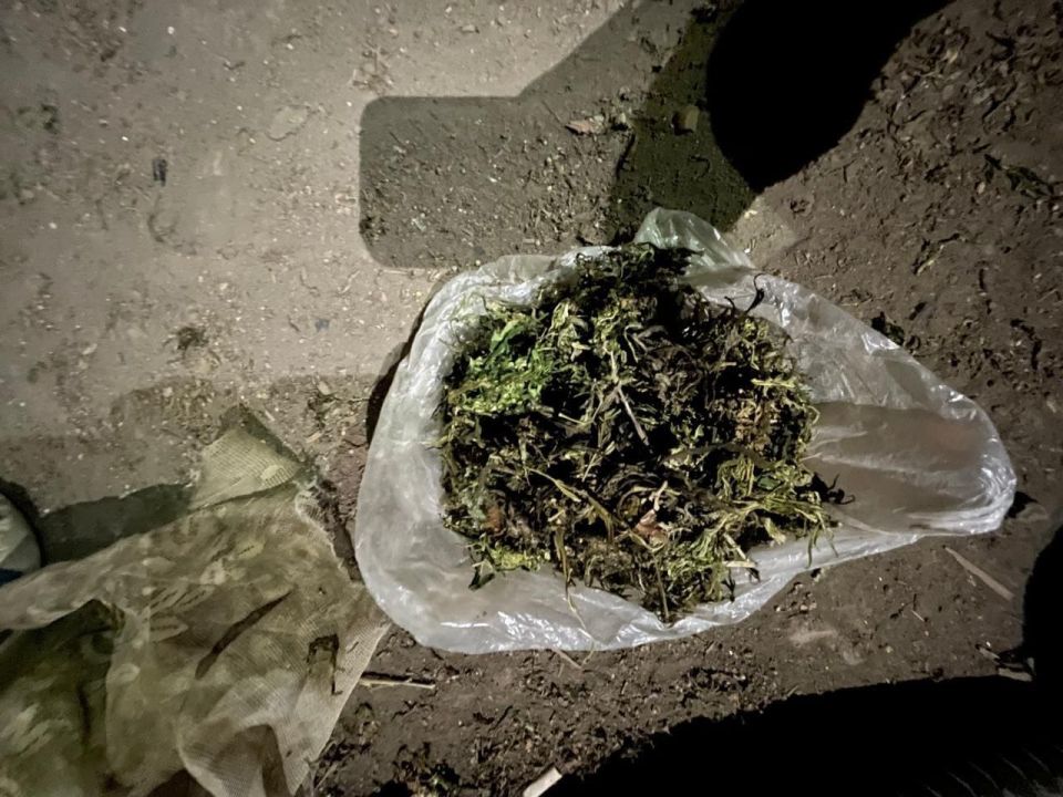 За хранение 1.2 кг марихуанны молодого человека ждет тюрьма