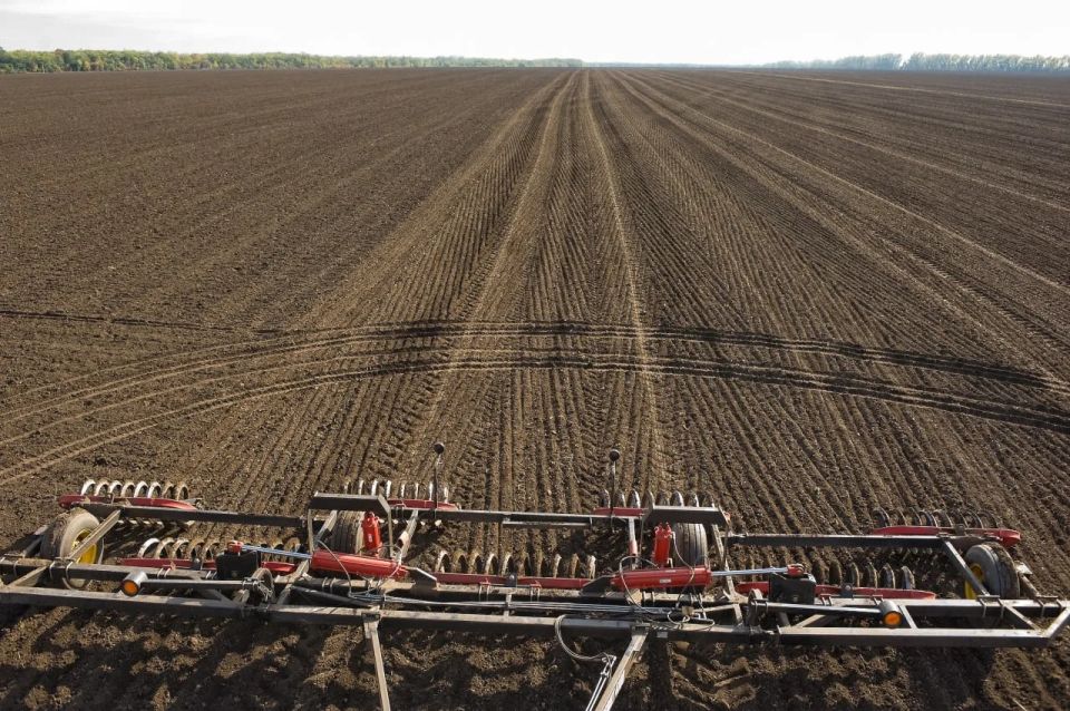 Вениамин Кондратьев: Кубанские аграрии из пострадавших от засухи районов получат компенсации за покупку семян