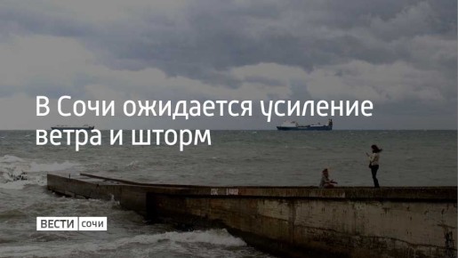 8 декабря в Сочи и на федеральной территории Сириус местами ожидается усиление ветра с порывами до 15-17 метров в секунду
