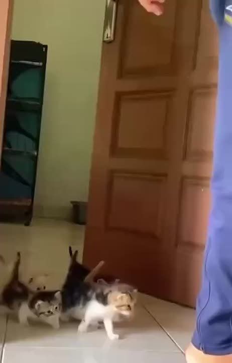 Проснулись? Тогда идём завтракать