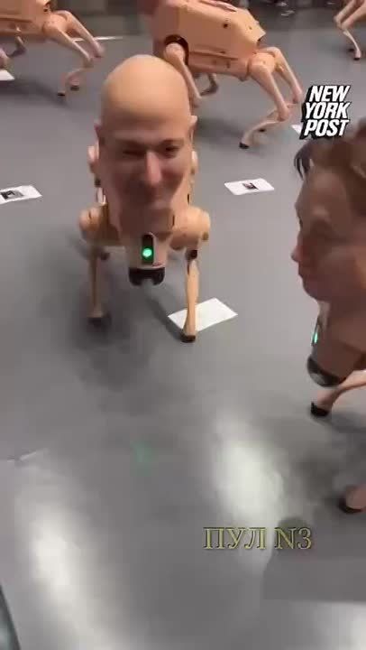 В Швейцарии на выставке современного искусства организована экспозиция цифрового художника «Обыкновенные животные»