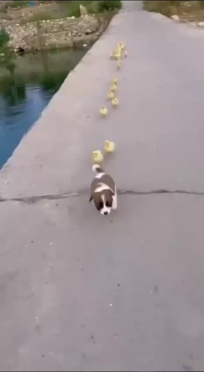 Накинулись целой бандой на одного!