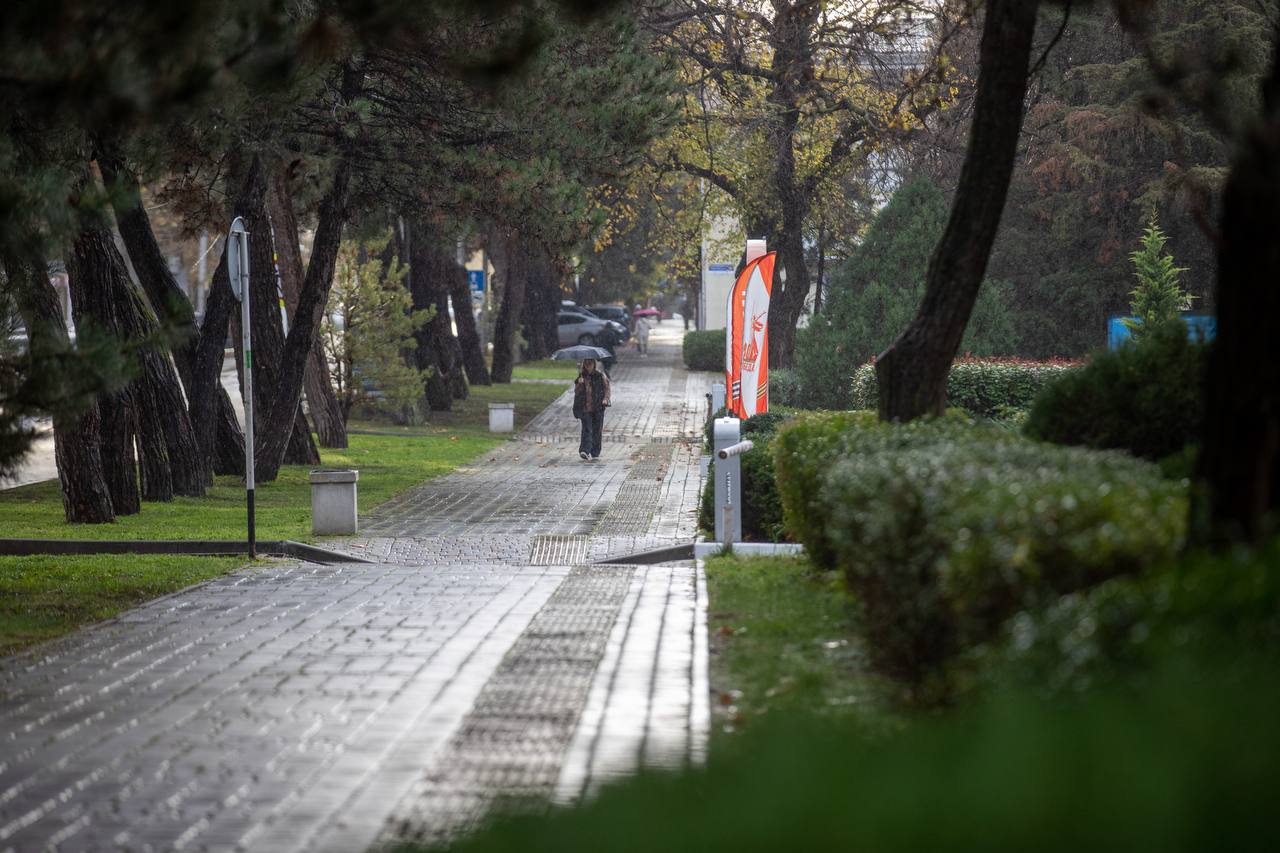 Ветер, дождь, декабрь. Новая неделя стартует сырой и ветреной погодой