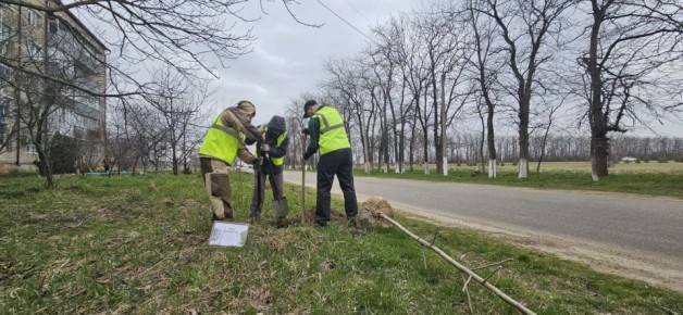 АРМАВИР ПРИНИМАЕТ АКТИВНЫЕ МЕРЫ ДЛЯ ПОВЫШЕНИЯ УРОВНЯ ЭКОЛОГИИ