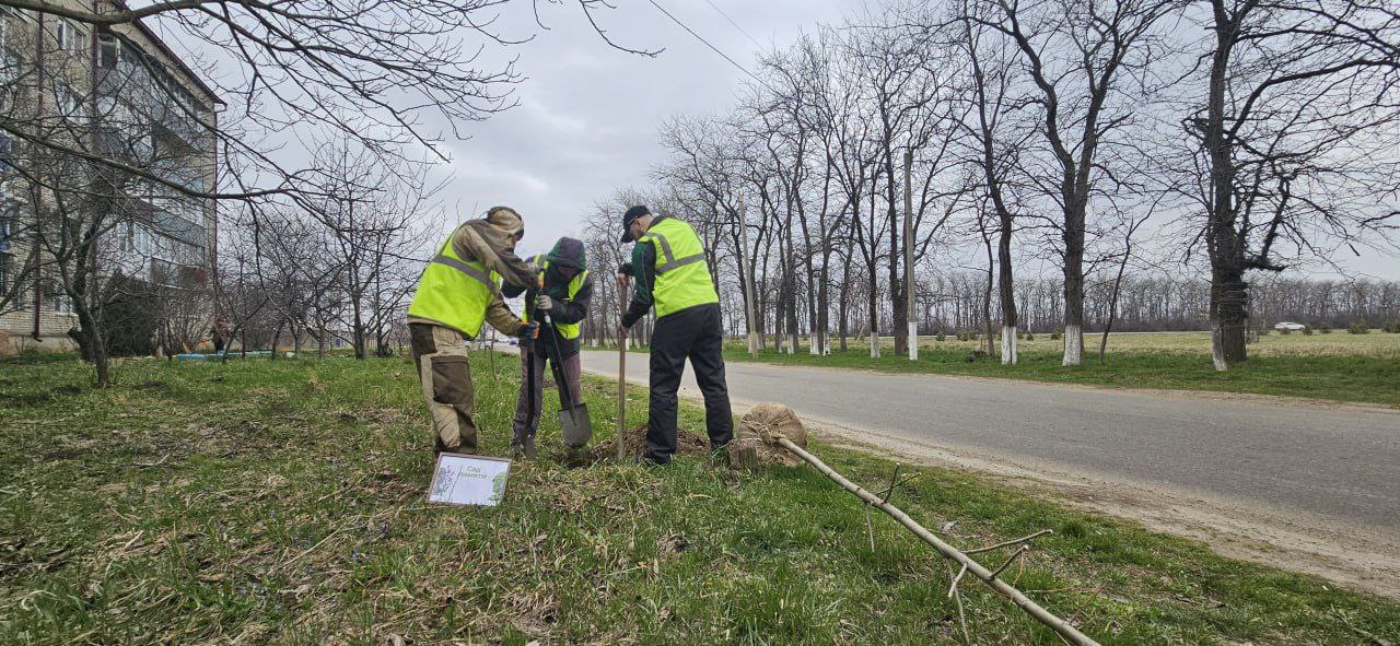 АРМАВИР ПРИНИМАЕТ АКТИВНЫЕ МЕРЫ ДЛЯ ПОВЫШЕНИЯ УРОВНЯ ЭКОЛОГИИ