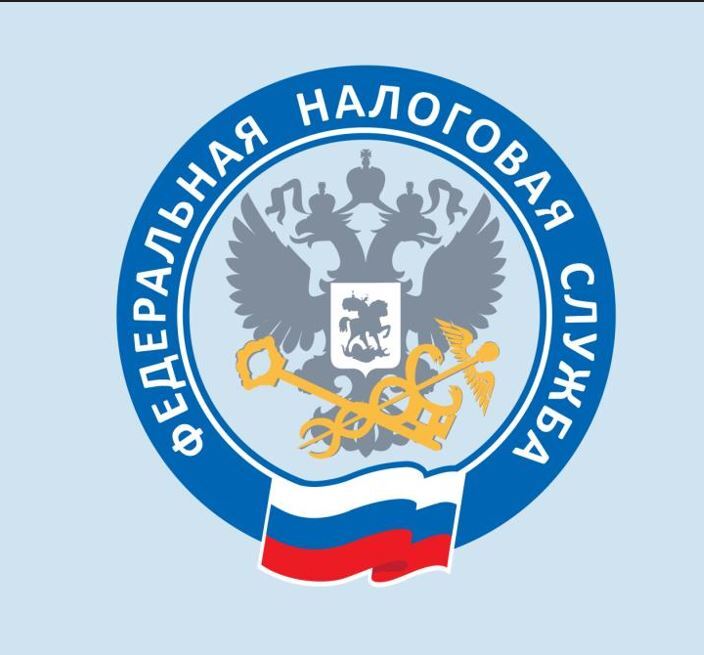 Срок уплаты имущественных налогов за 2024 год истек 1 декабря