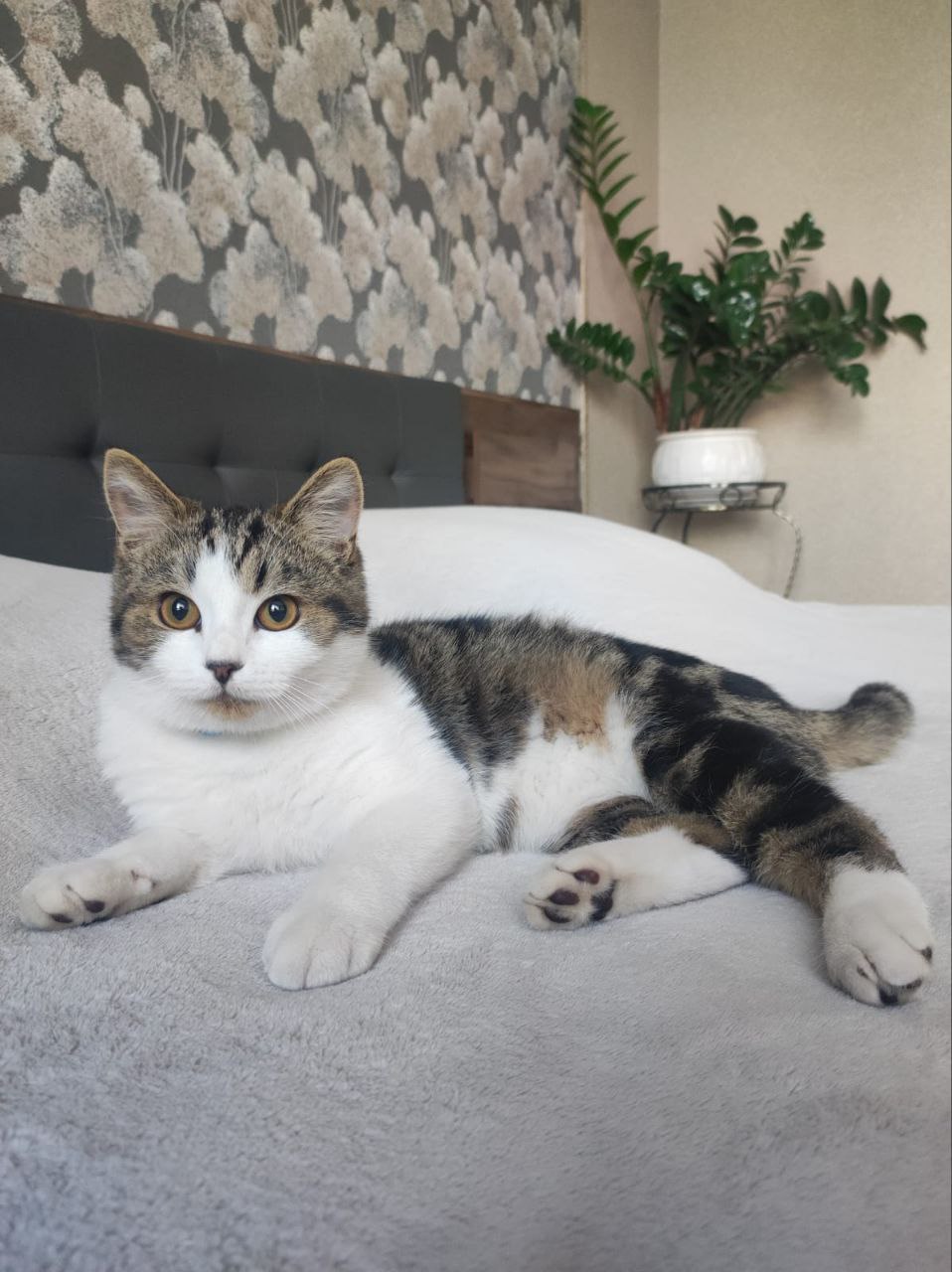 Доброе утро, Кубань!. Краснодар +6 °С