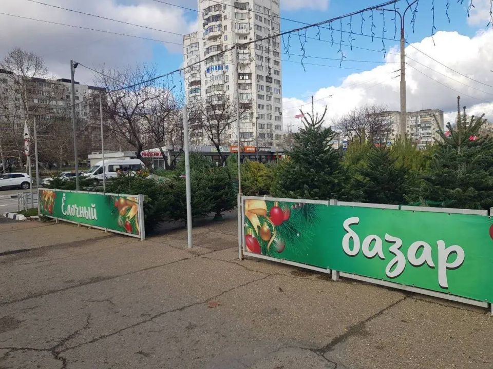 12 елочных базаров откроются в Новороссийске с 15 декабря