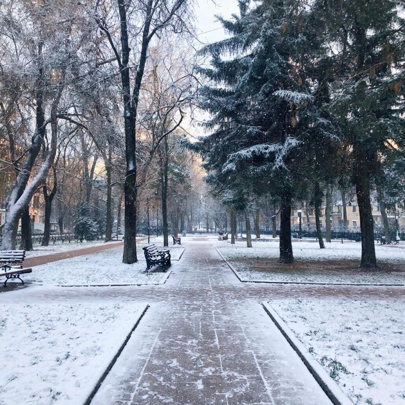 В Краснодаре скоро может выпасть первый снег?