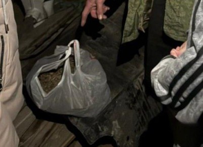 За сбор и хранение конопли житель Гулькевичей ответит в суде