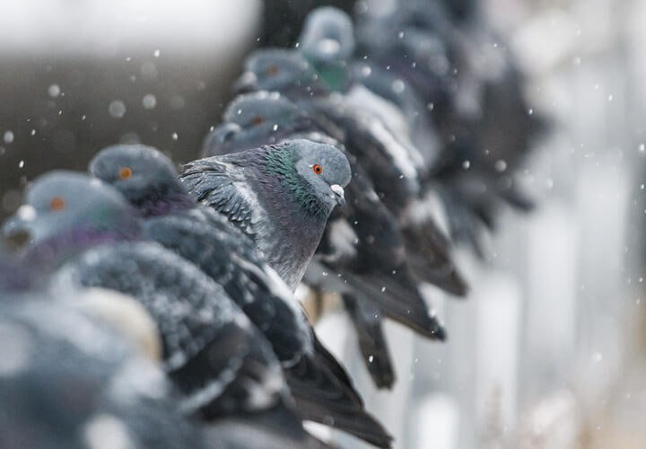 «Удар арктических масс» ожидается в Краснодарском крае
