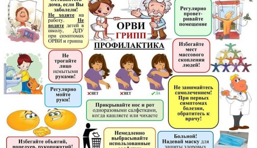 Роспотребнадзор напоминает, как противостоять заболеваемости острыми респираторными вирусными инфекциями