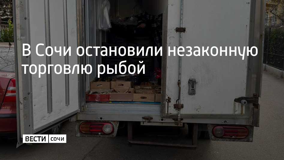 В ходе рейдов по пресечению незаконной уличной торговли в Хостинском районе и селе Веселом полицейские обнаружили троих торговцев, которые продавали свежую рыбу без регистрации ИП. На нарушителей составили административные...