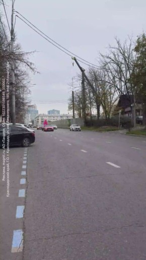 Розовый мустанг везёт розового коня