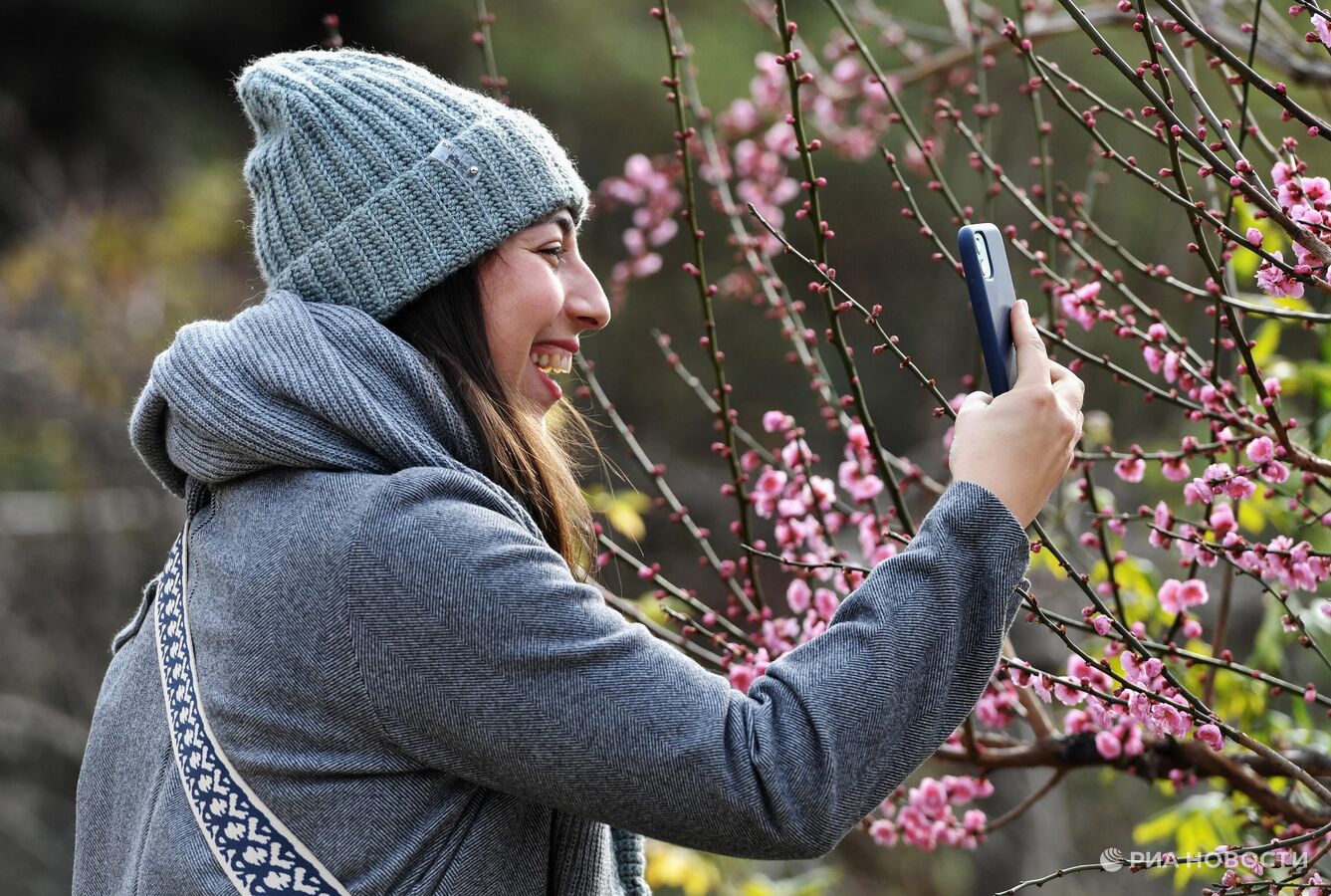 Новый год в Крыму: близко, тепло, красиво и недорого