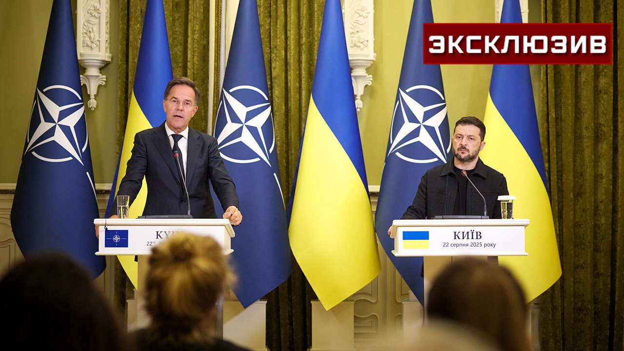 Герой России Чумаров объяснил, почему Украину не ждут в НАТО