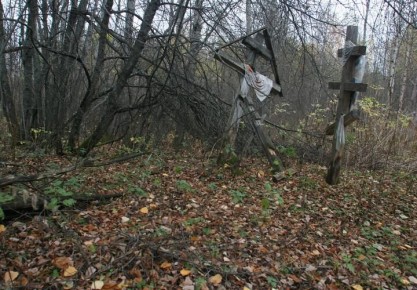 Краснодарцы недовольны массовой вырубкой деревьев на Всесвятском кладбище