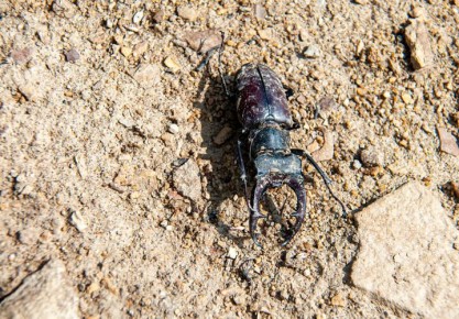 ������� �� �������? ������ ������ �� ����� �������� ����� �� ����� ������