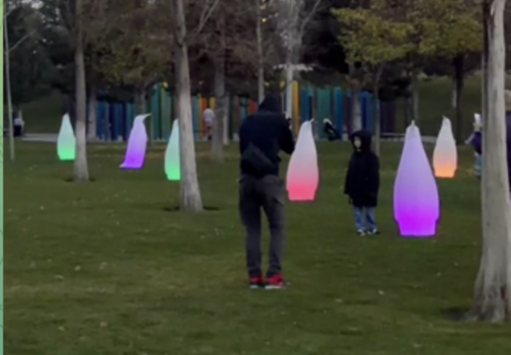 «Пингвины и дебилы»: поклонники парка Галицкого в Краснодаре разразились ругательствами в адрес желающих сделать фото прямо на газоне