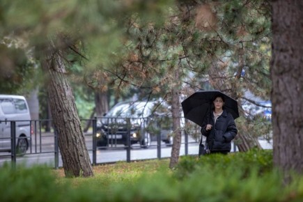 Погода шепчет: захвати зонт