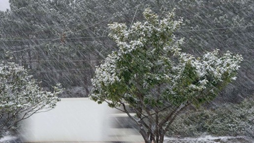 Снежная буря с грозой движется на Кубань