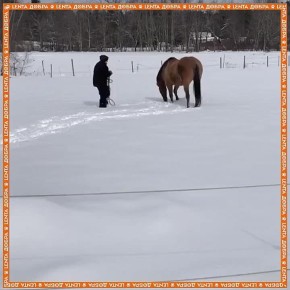 Мы с конем вдвоем по полю идем
