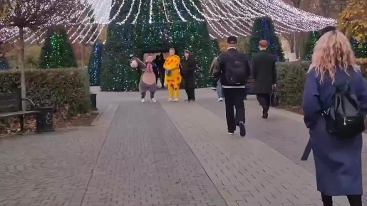 Аниматоры активизировались