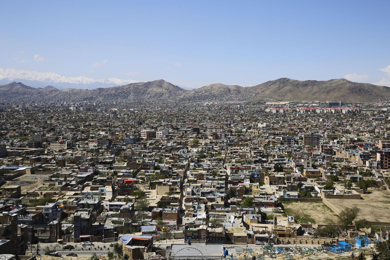 Афганистан пробно поставил в Россию виноград и бахчевые