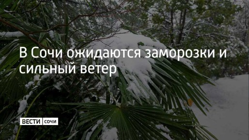 Ночью 13 декабря и утром 14 декабря в Сочи и на федеральной территории Сириус ожидается усиление с порывами до 15-18 метров в секунду, а также волнение моря