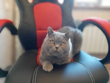 Доброе утро, Кубань!. Краснодар +8 °С