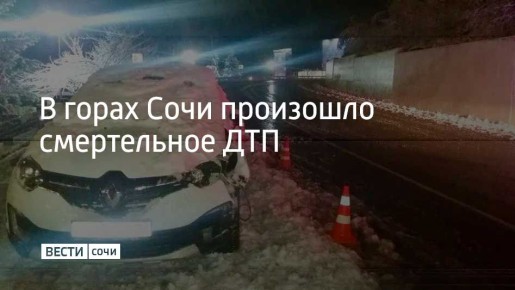 В ночь на 13 декабря в селе Эстосадок в Сочи 35-летний водитель каршеринга "Рено" сбил 21-летнего пешехода – он переходил дорогу в неположенном месте