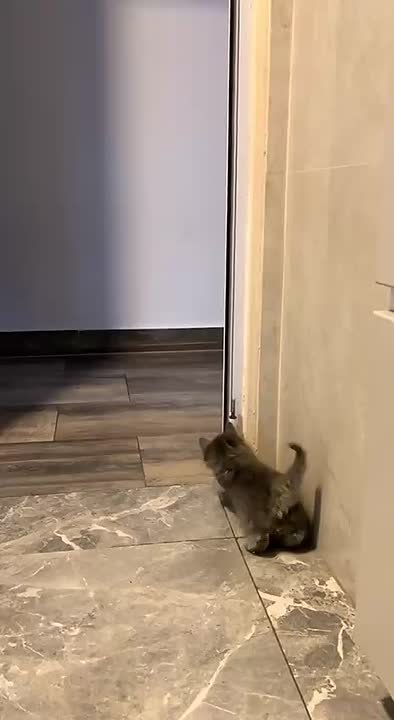 Демонстрация эффекта неожиданности