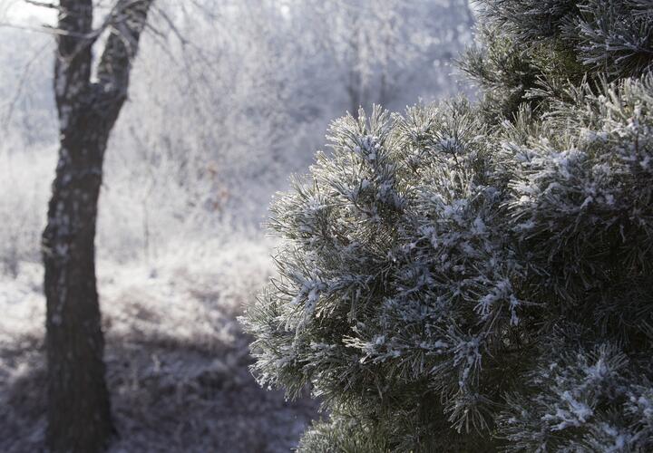 Два человека погибли в результате атаки ВСУ на Саратов, страны ЕС заморозят российские активы на 210 миллиардов евро: что произошло, пока вы спали