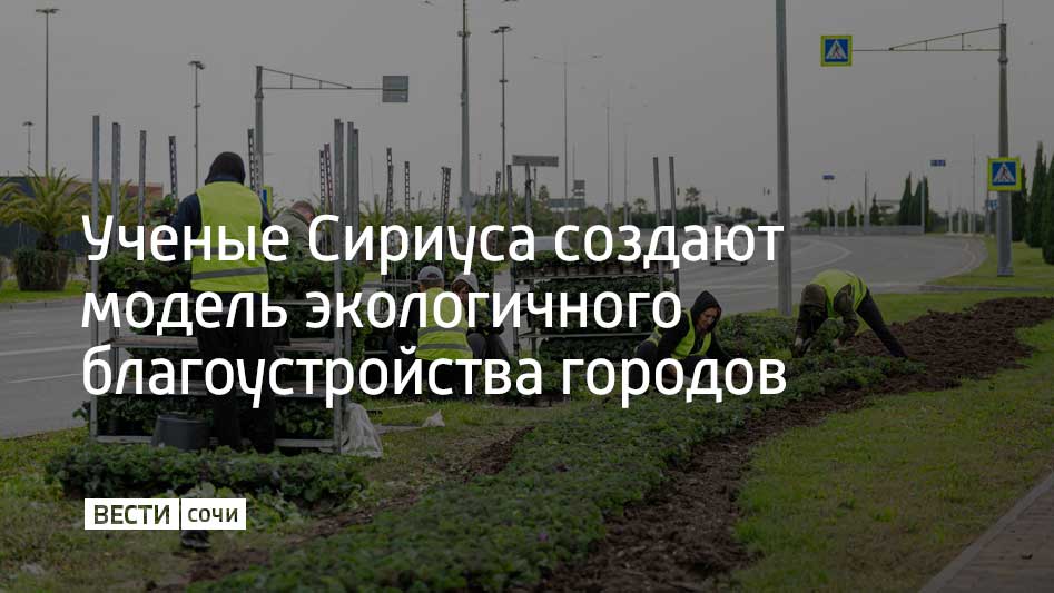 Исследователи разрабатывают методику восстановительного благоустройства – это подход, который позволяет не просто озеленять городские пространства, а формировать устойчивые экосистемы, способные поддерживать микроклимат и...