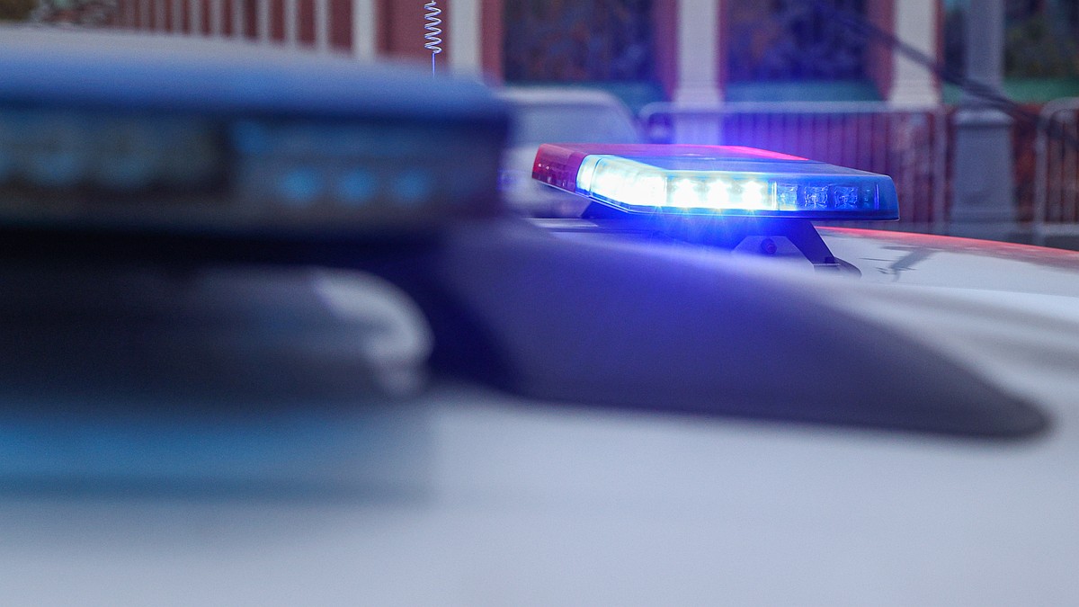 Россияне успели уйти с пляжа в Сиднее за несколько минут до стрельбы: в страшном теракте погибли 10 человек