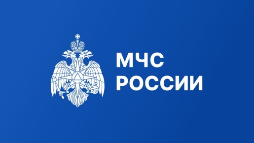 МЧС России информирует: «Цифровой пожарный гарнизон» автоматизирует ключевые процессы