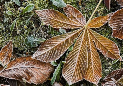 Мощное похолодание, которое сначала накрыло европейскую часть России, добралось до Краснодарского края