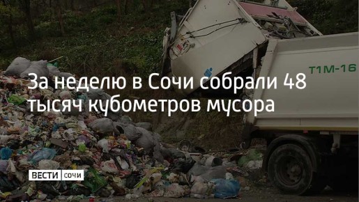 Для вывоза отходов задействовано 89 единиц спецтехники