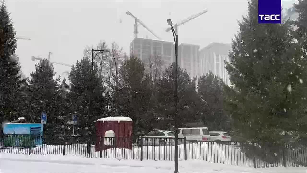 Прибытие 10 рейсов задерживается в новосибирском аэропорту Толмачево на фоне снегопада