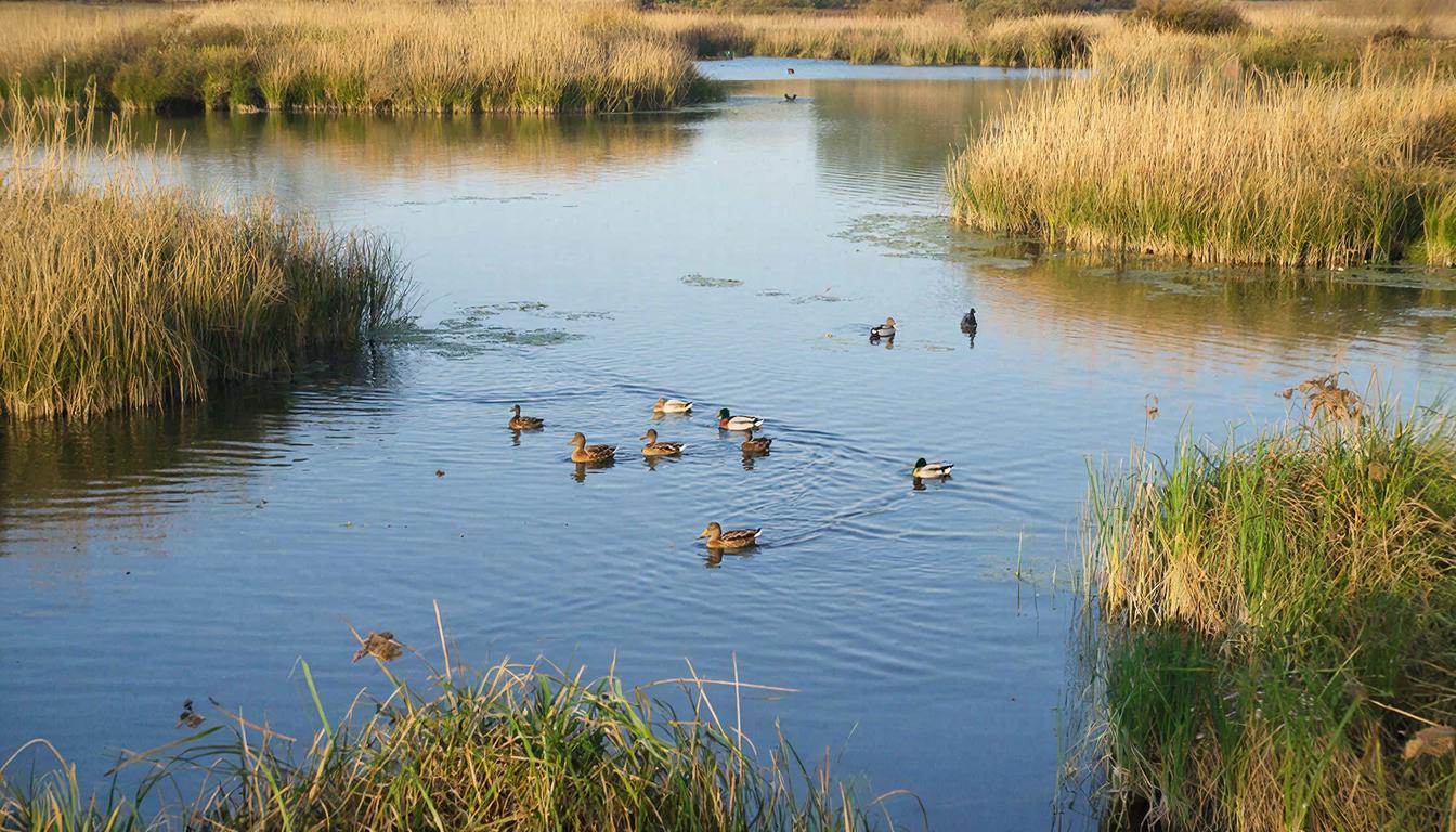Две новых заповедных территории появились на Кубани